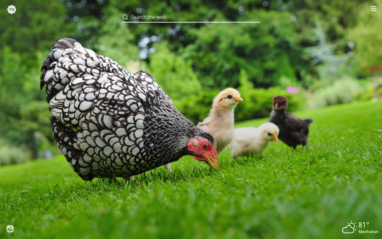 Farm Animals Wallpaper Hd - HD Wallpaper 