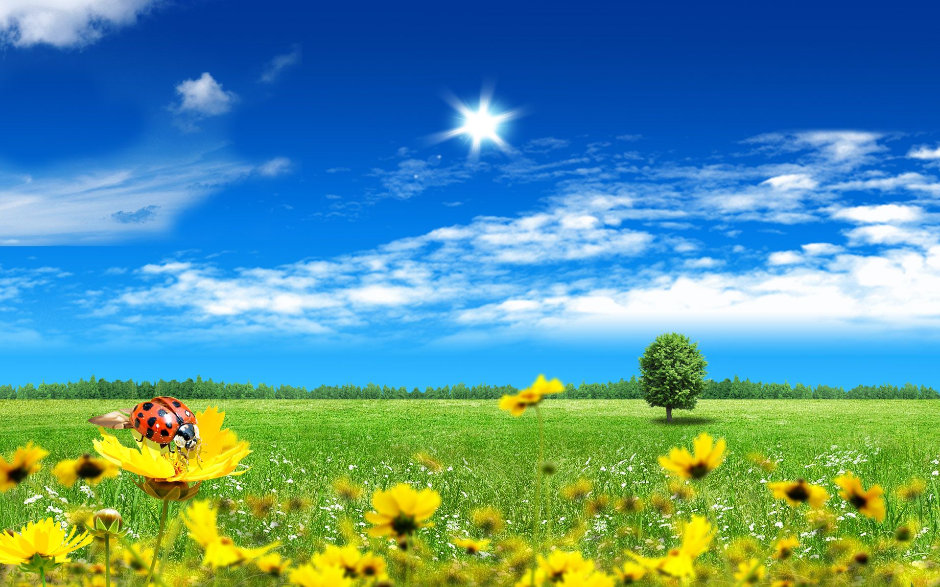 Most Beautiful Wallpaper In The World - HD Wallpaper 