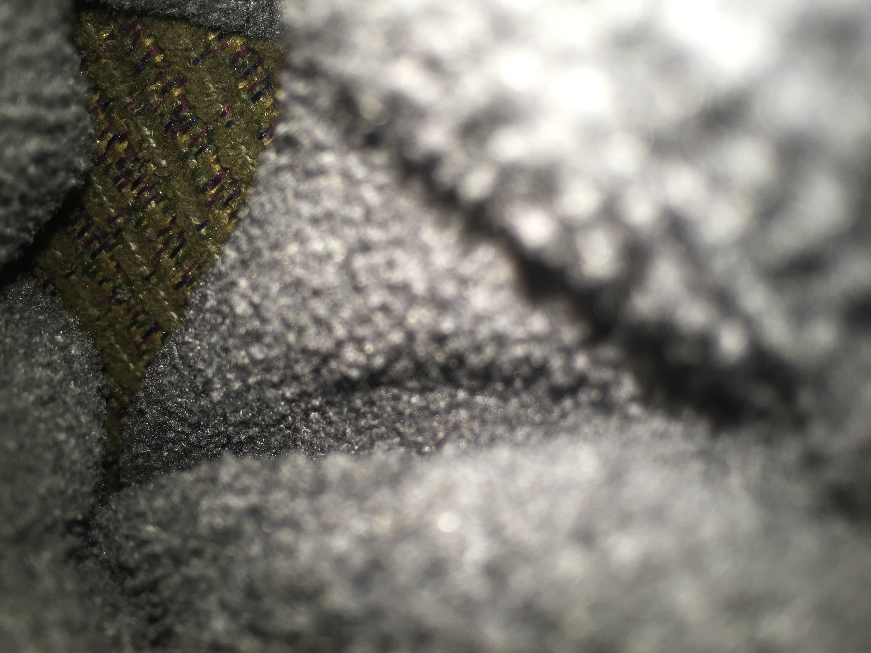 Close-up - HD Wallpaper 