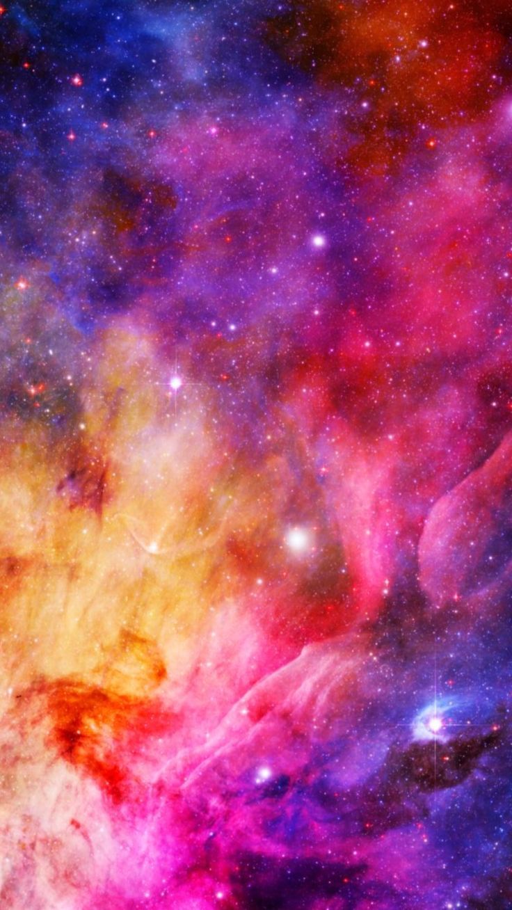 Wallpaper - HD Wallpaper 
