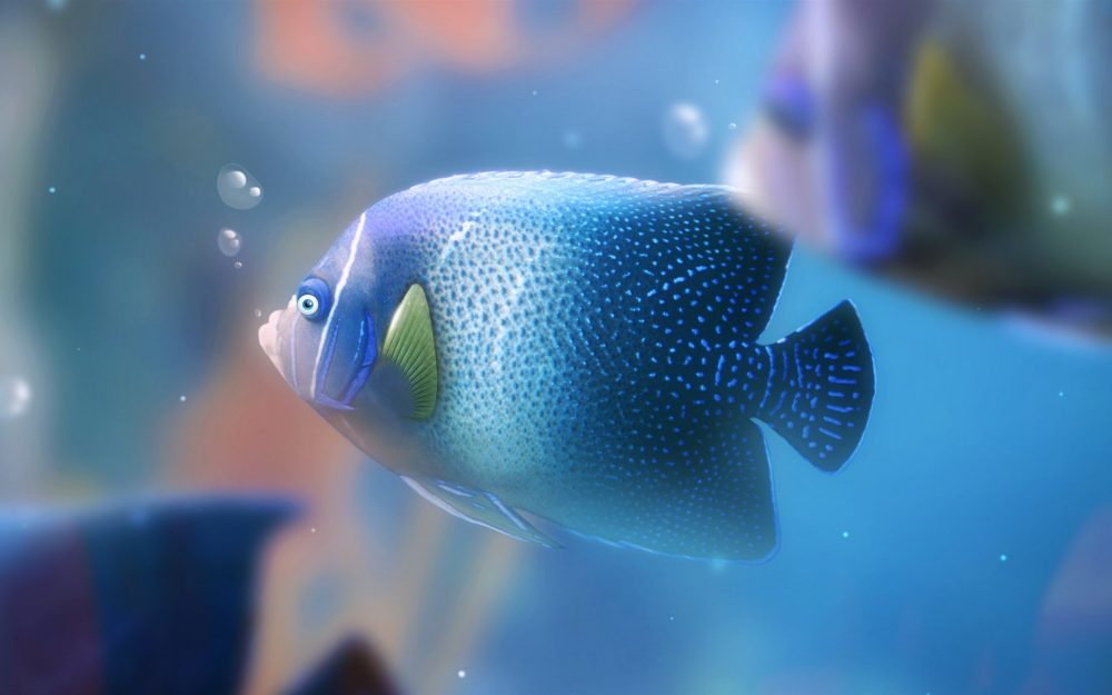 Water Fish Images Hd - HD Wallpaper 