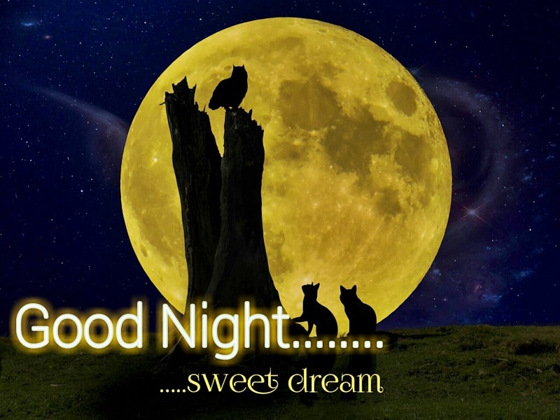 Love Beach At Night With Moon And Stars Good Night - Moon - HD Wallpaper 