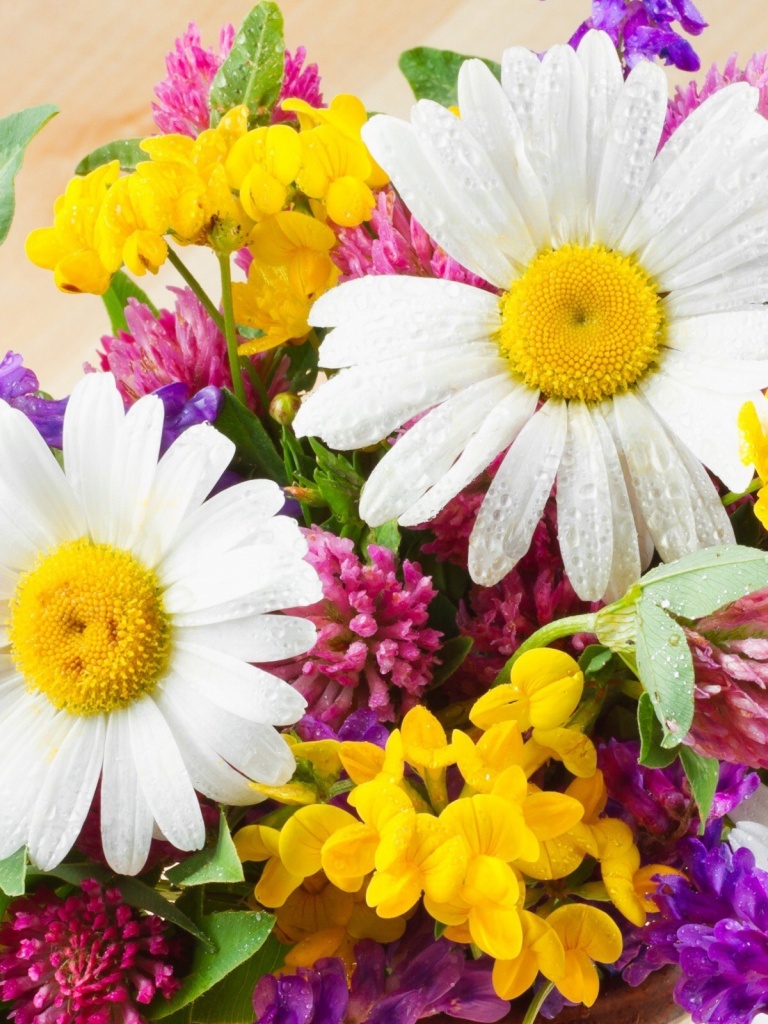 Flower Iphone Wallpaper Summer 768x1024 Wallpaper teahub.io