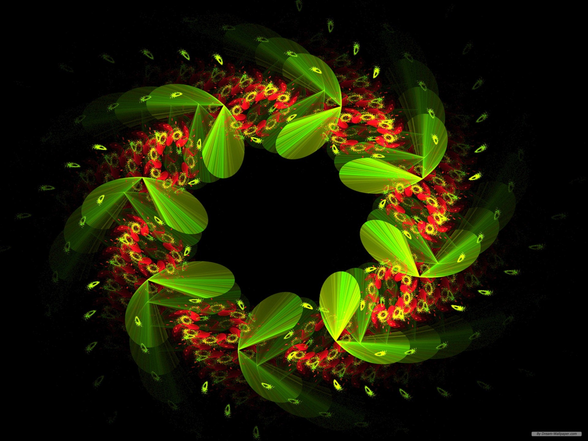 Free Flower Wallpaper - Wallpaper - HD Wallpaper 