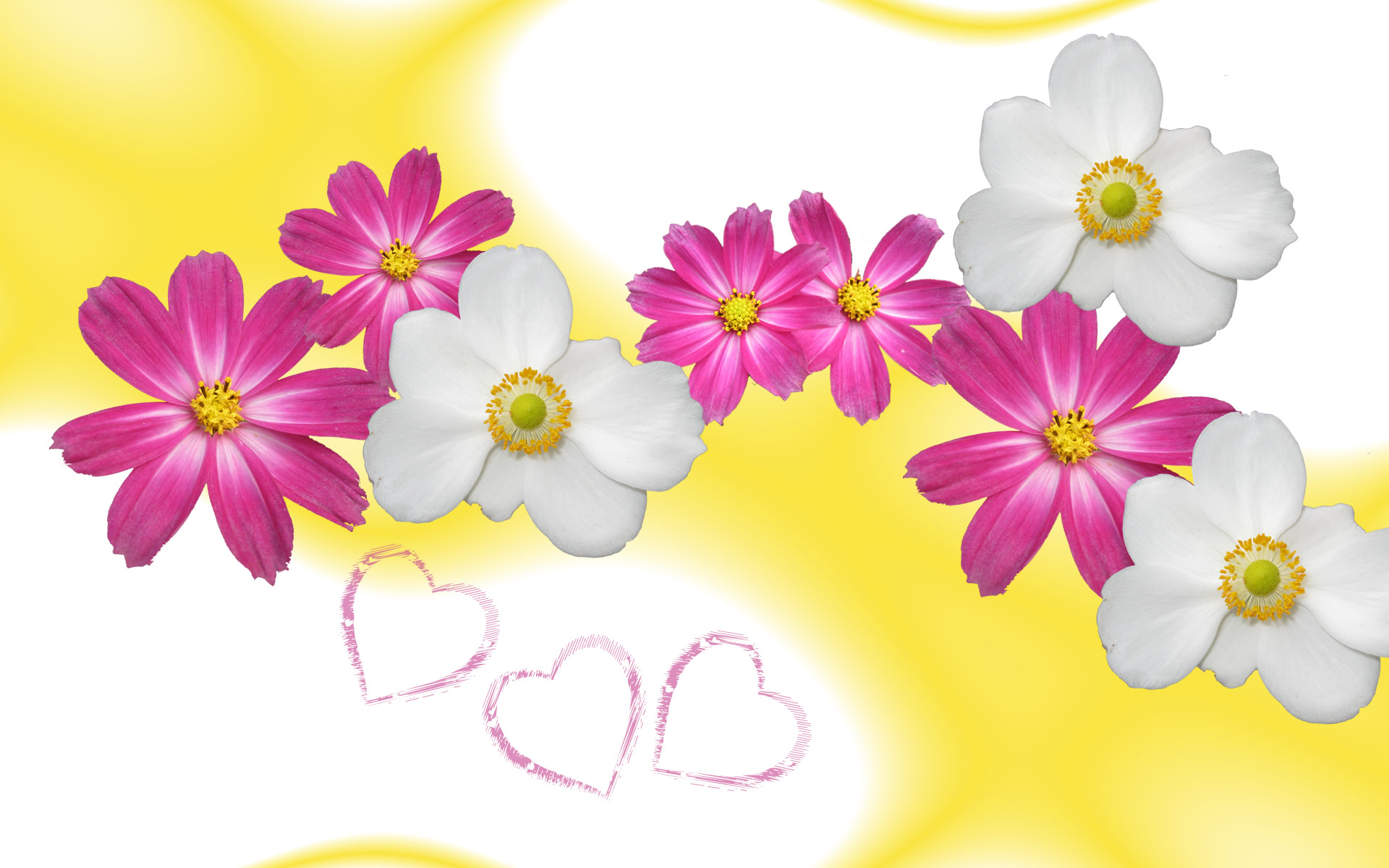 Pink Design Flower Background Hd - HD Wallpaper 
