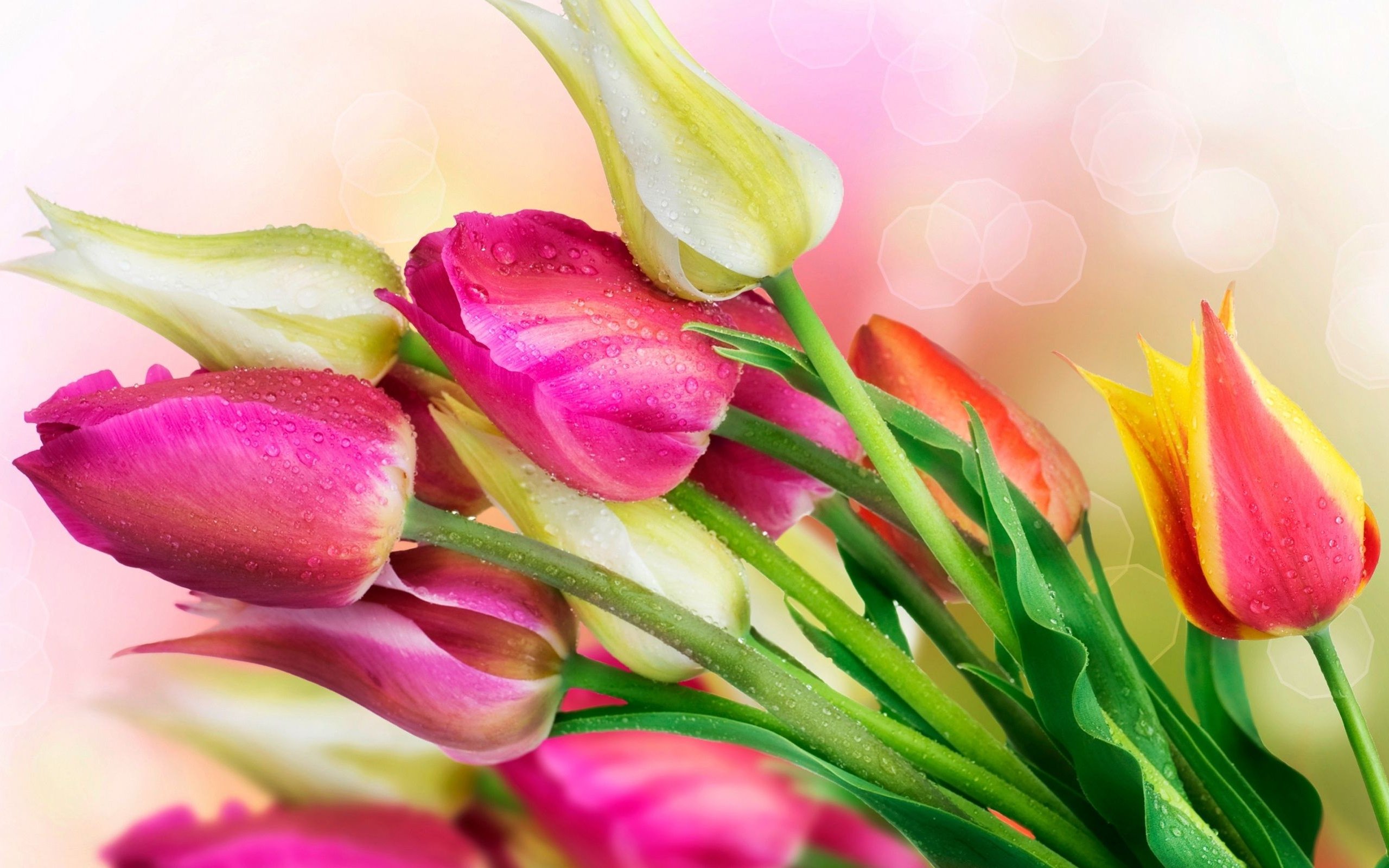 Fresh Flowers Wallpaper - Bright Cute Background Images Hd - HD Wallpaper 