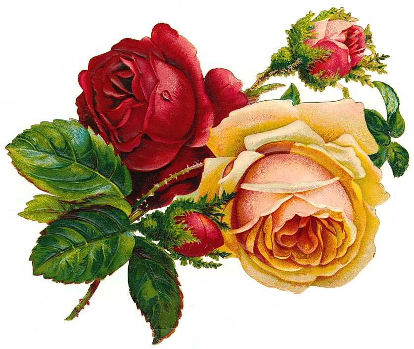 Vintage Rose Clip Art - HD Wallpaper 