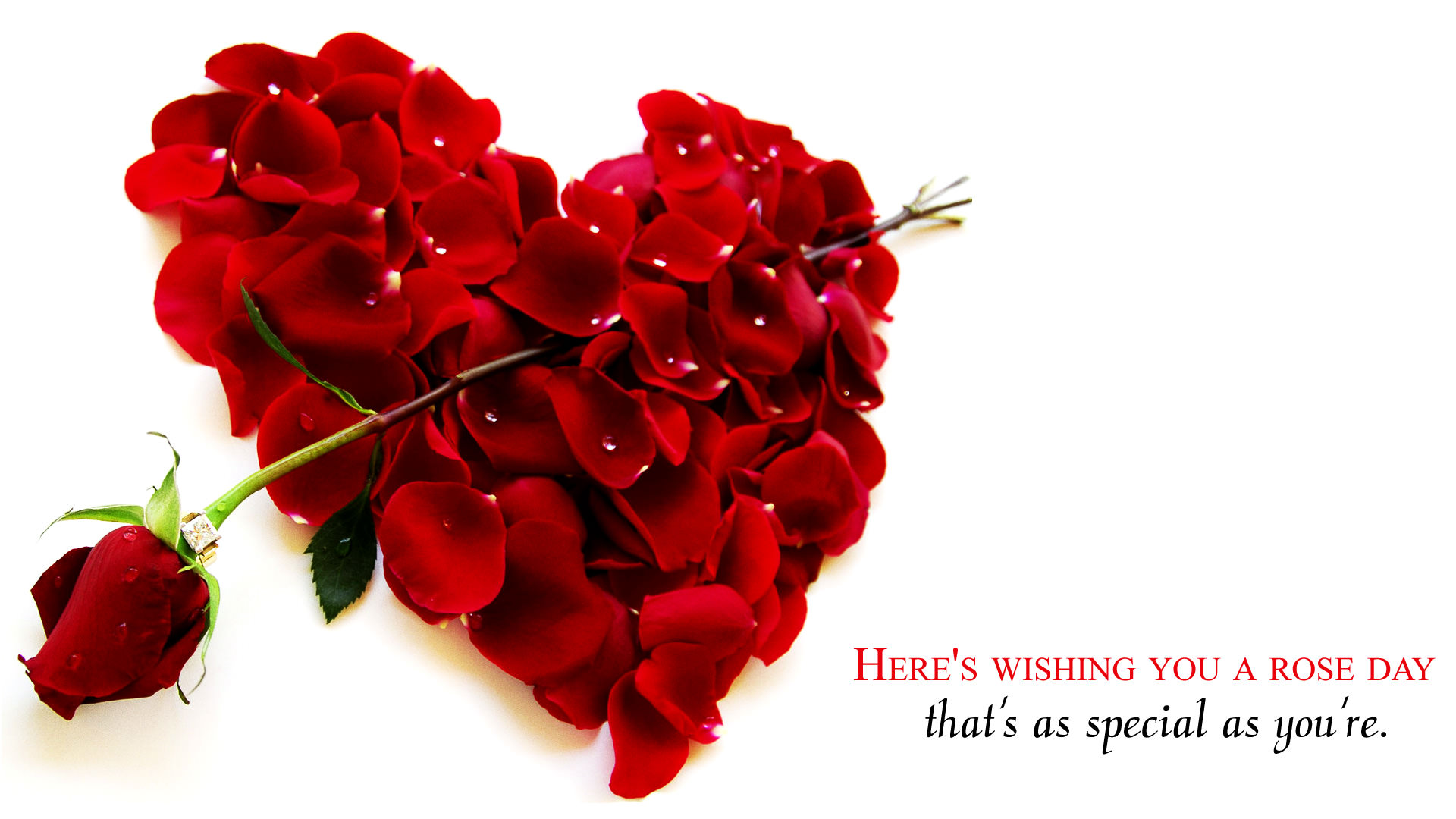 Rose Wallpaper With Red Flower Heart - Rose Day Special - HD Wallpaper 