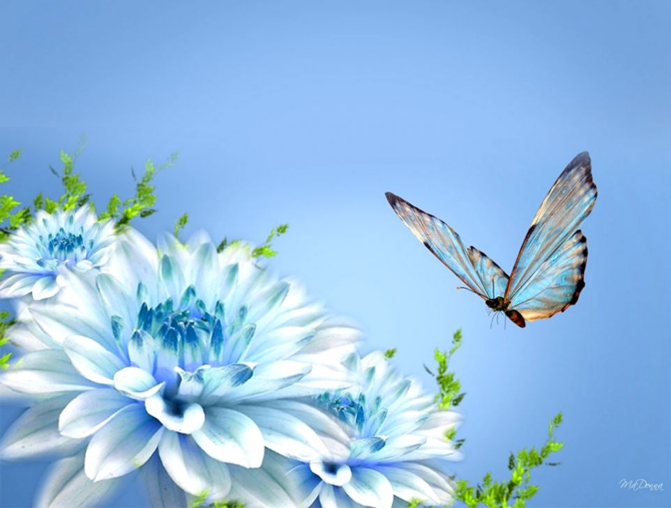 Free Hd Desktop Wallpaper Download Colorful - Blue Flowers With Butterfly - HD Wallpaper 