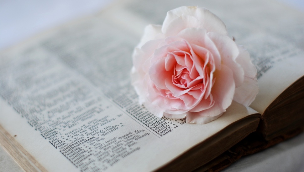 Book, Rose, Page, Dictionary, Pink, Flower Desktop - Pink Flowers With Books Background - HD Wallpaper 