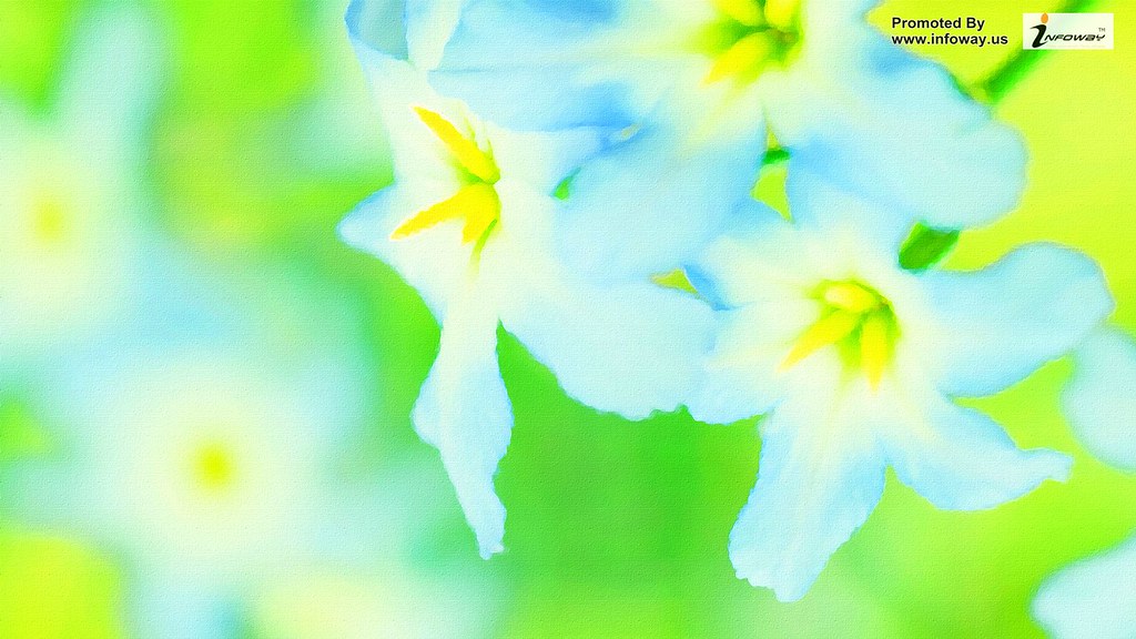 Light Green And Blue Flowers - HD Wallpaper 