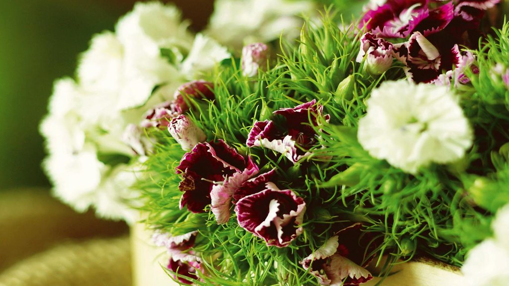 Днем Секретаря Открытки - HD Wallpaper 