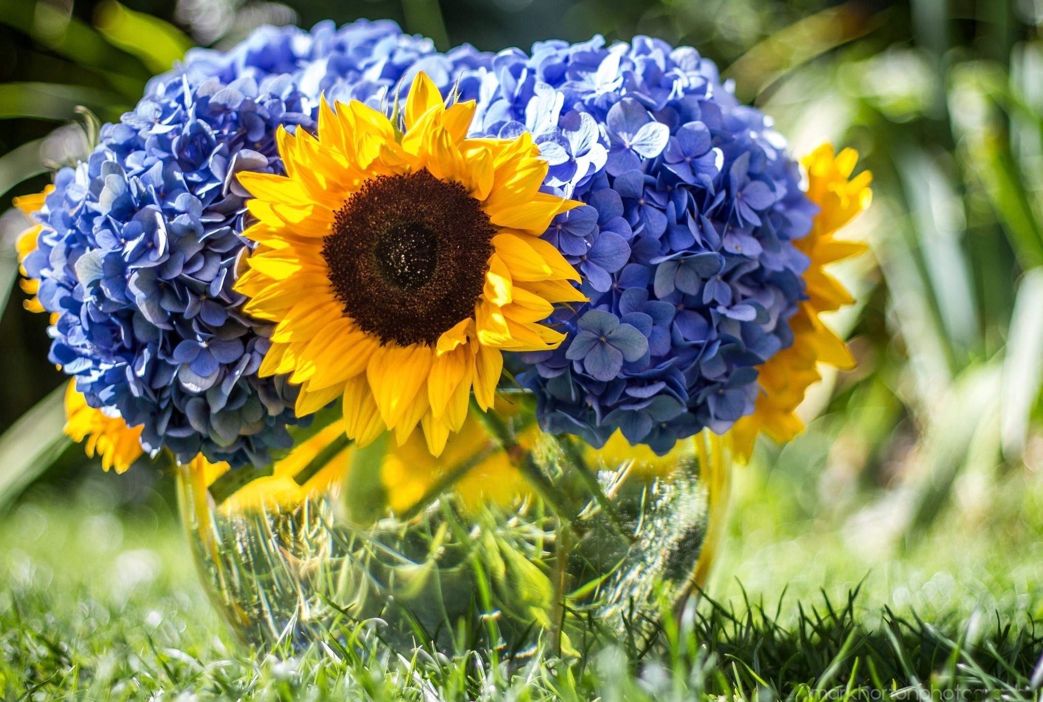 2048x1379, 
 Data Id 262671 
 Data Src /walls/full/1/7/6/262671 - Amazing Flowers Hd - HD Wallpaper 