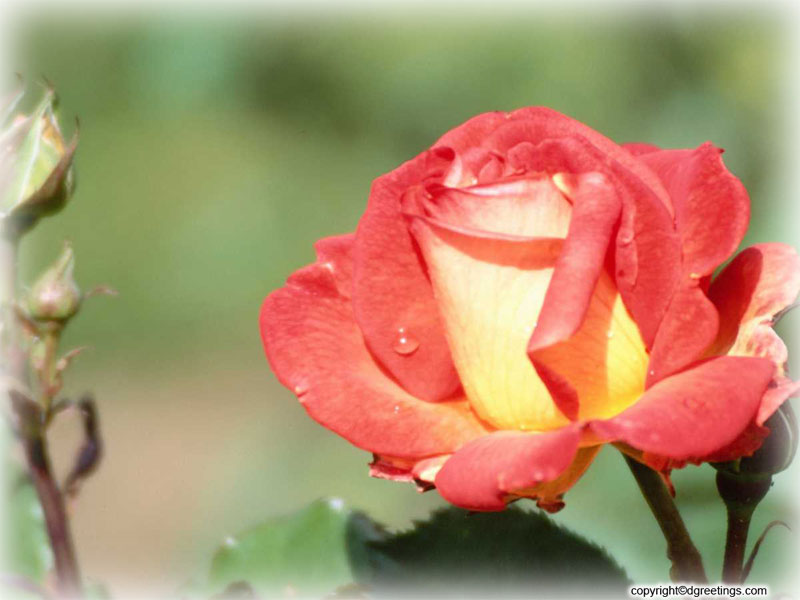 Right Click To Set As Wallpaper - Altar Of Praise Chorale - HD Wallpaper 