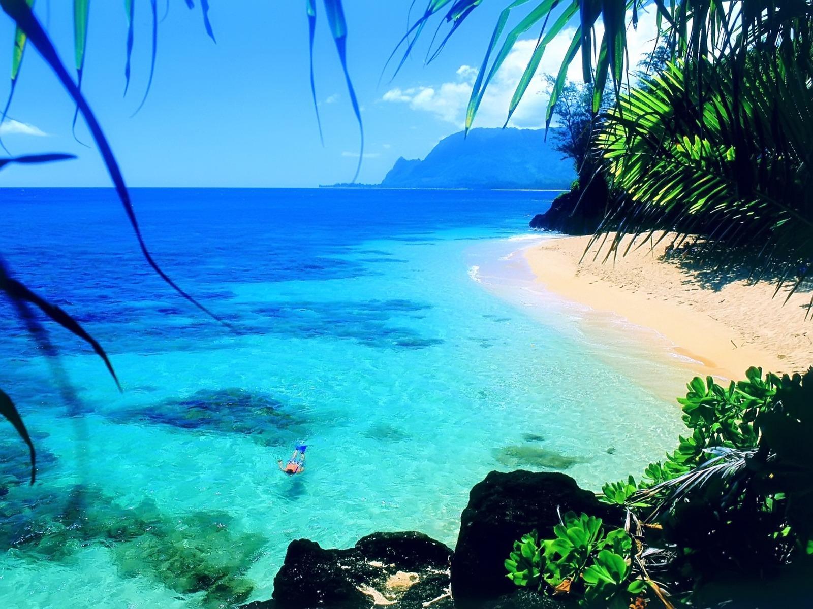 Beach Beautiful Hawaii - HD Wallpaper 