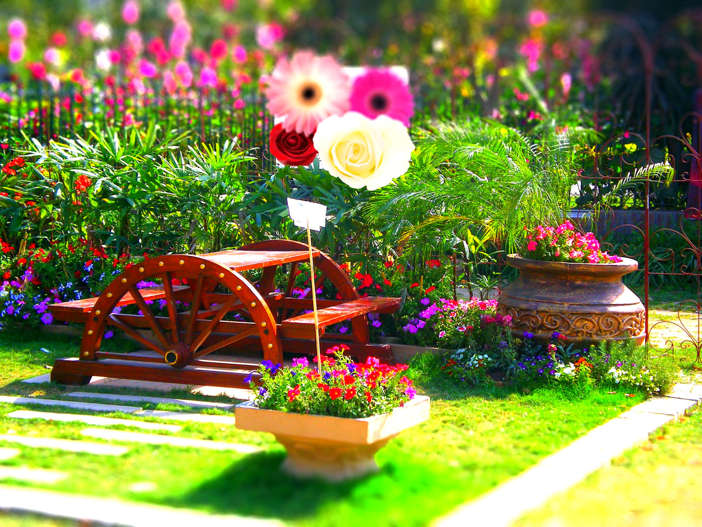 Latest Flowers Wallpapers Hd Wallpapers Nice Wallpaper - Latest Wallpapers Of Flowers - HD Wallpaper 