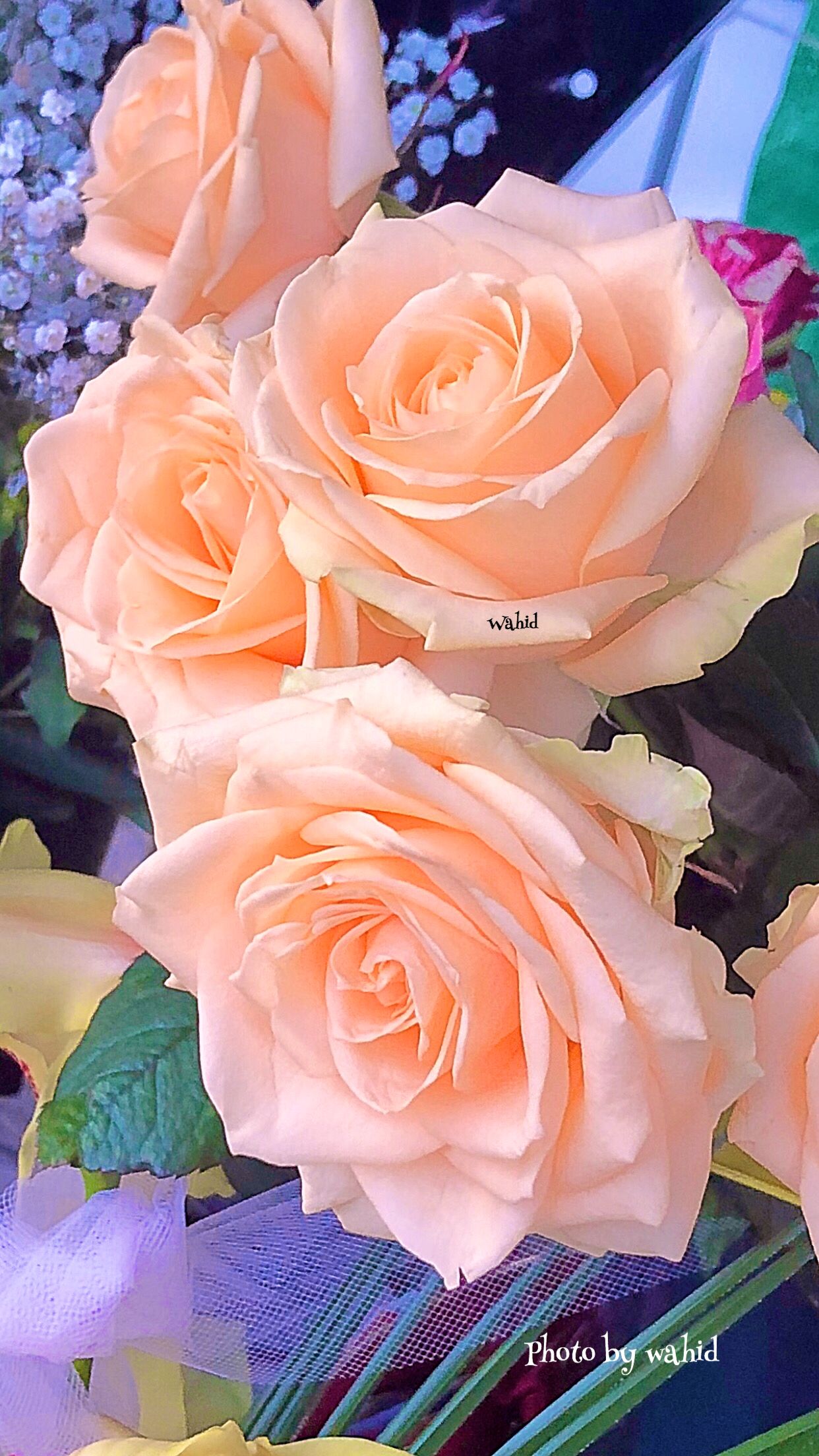 Flower - HD Wallpaper 