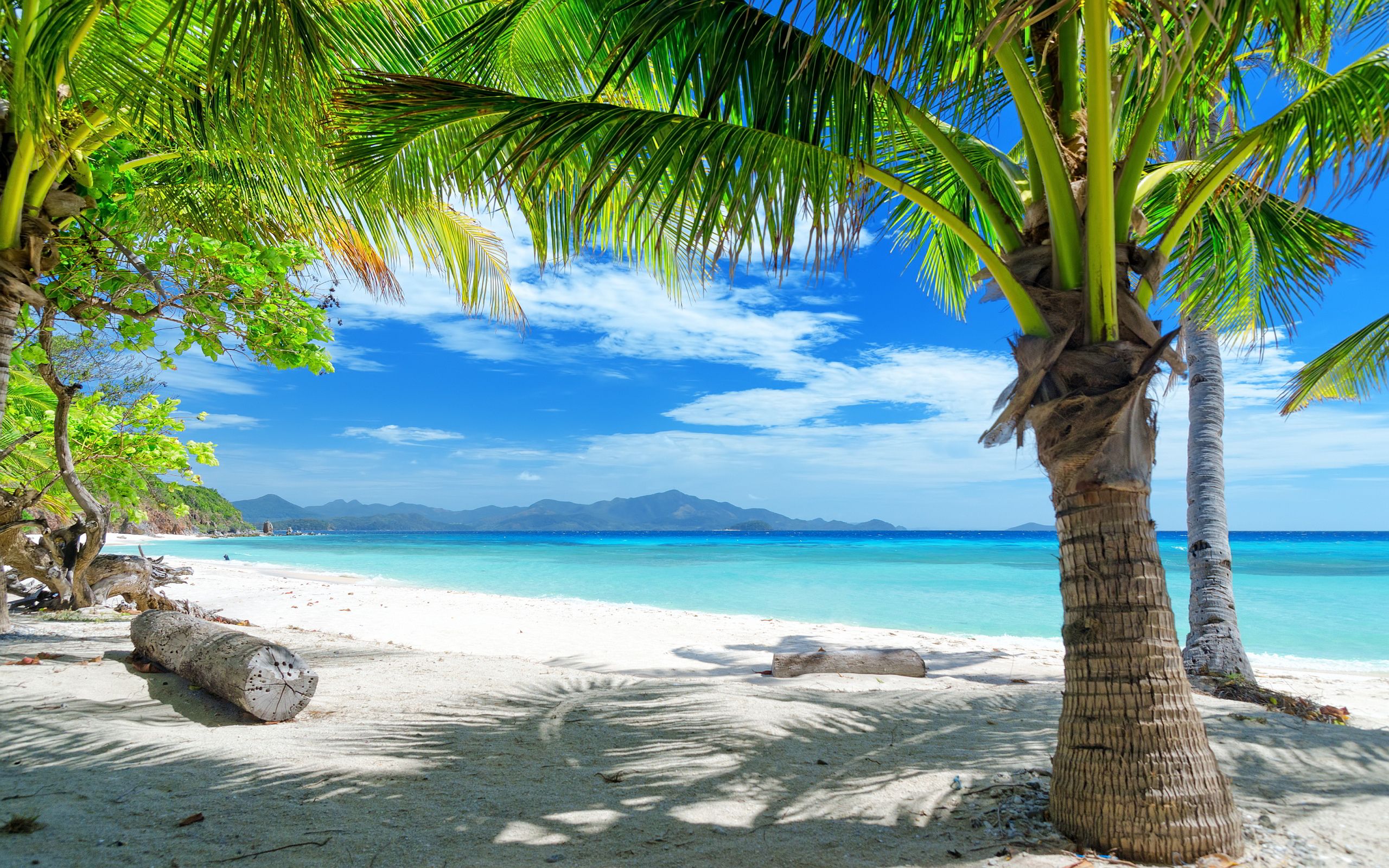 Tropical Backgrounds - HD Wallpaper 