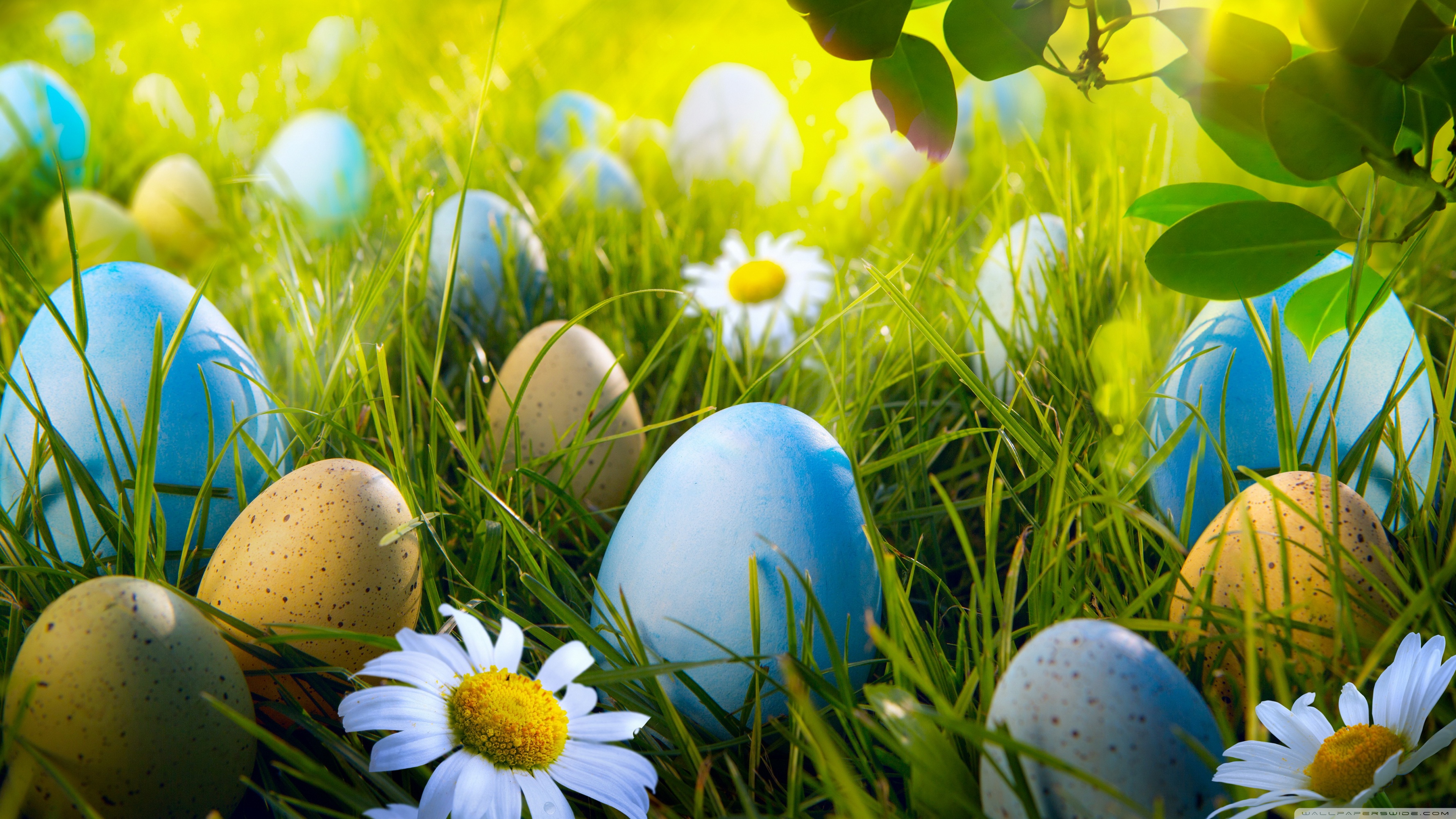 Easter Desktop Background - HD Wallpaper 