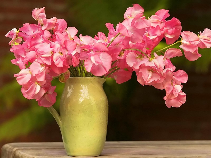 Fresh Flowers In Vase Wallpaper - Ваза С Цветами Розовые - HD Wallpaper 