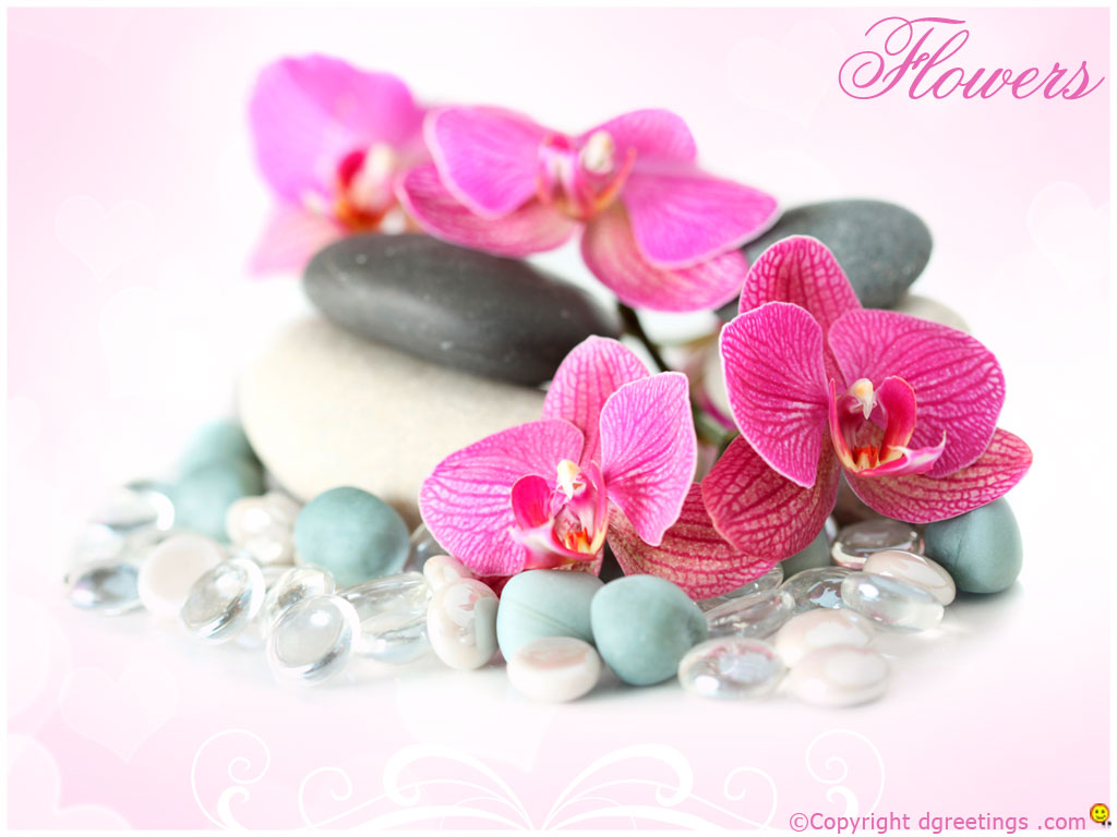 Right Click To Set As Wallpaper - Christmas Day - HD Wallpaper 