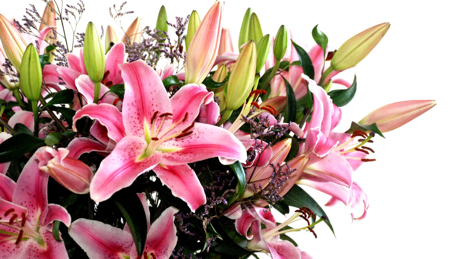 Lily Flower Bouquet - HD Wallpaper 