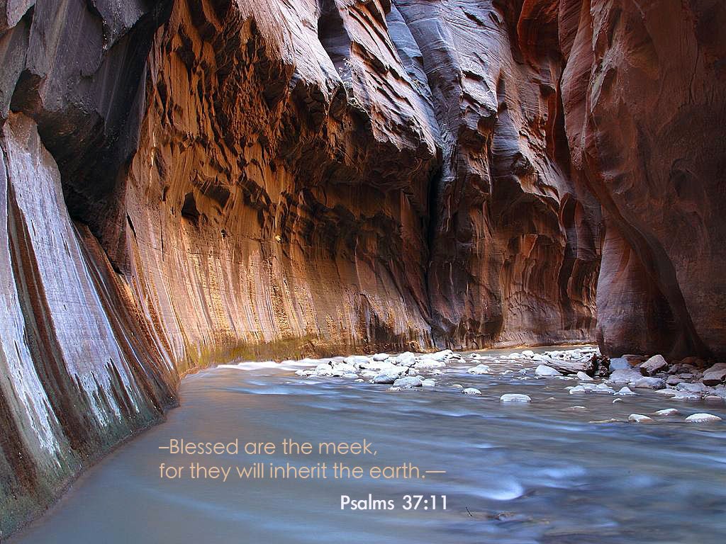 Philips 42pf9830 10 - HD Wallpaper 