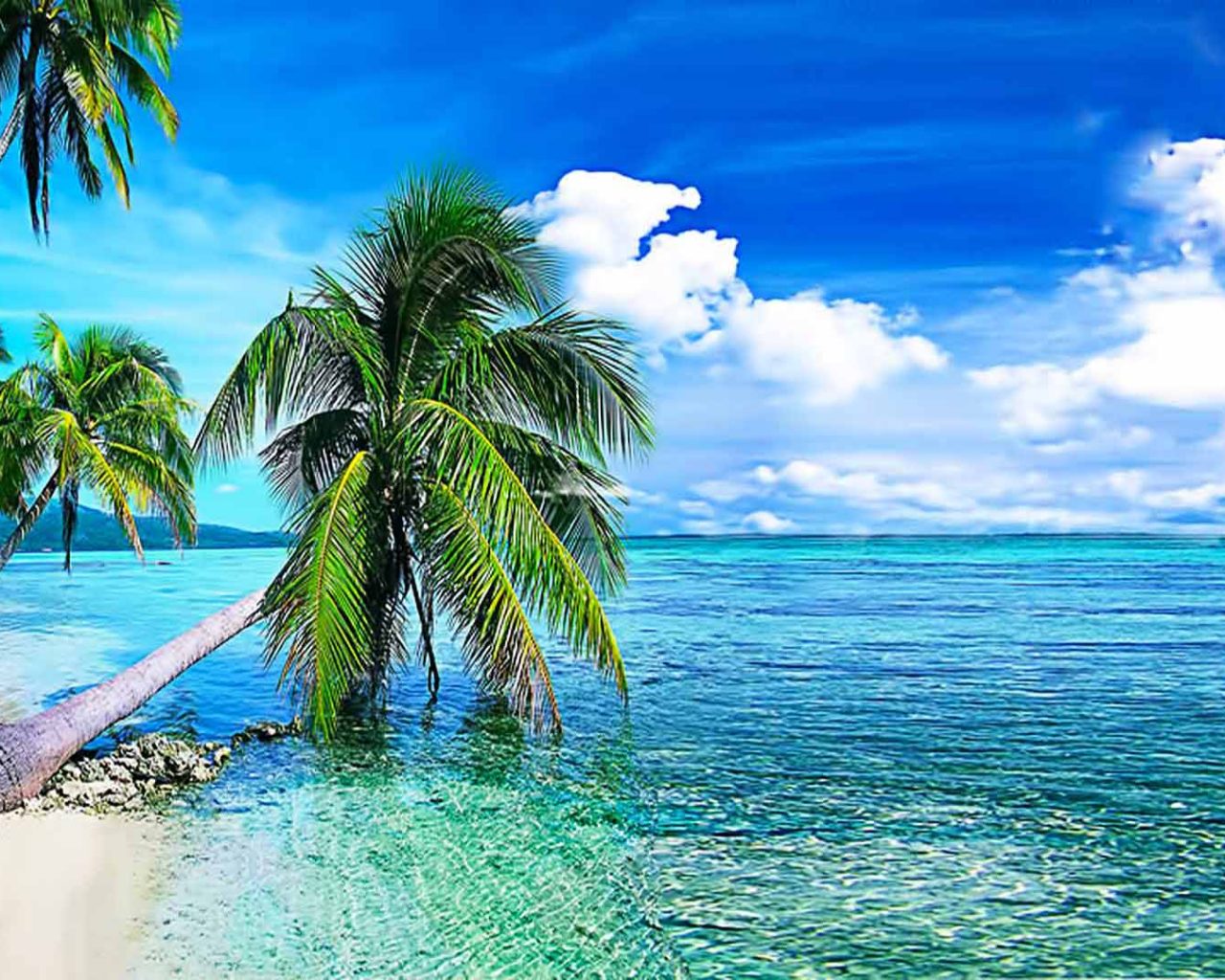 Tropical Beach Clear Water - HD Wallpaper 