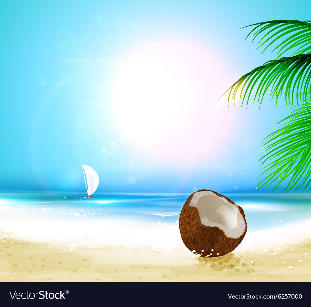 Beach - HD Wallpaper 