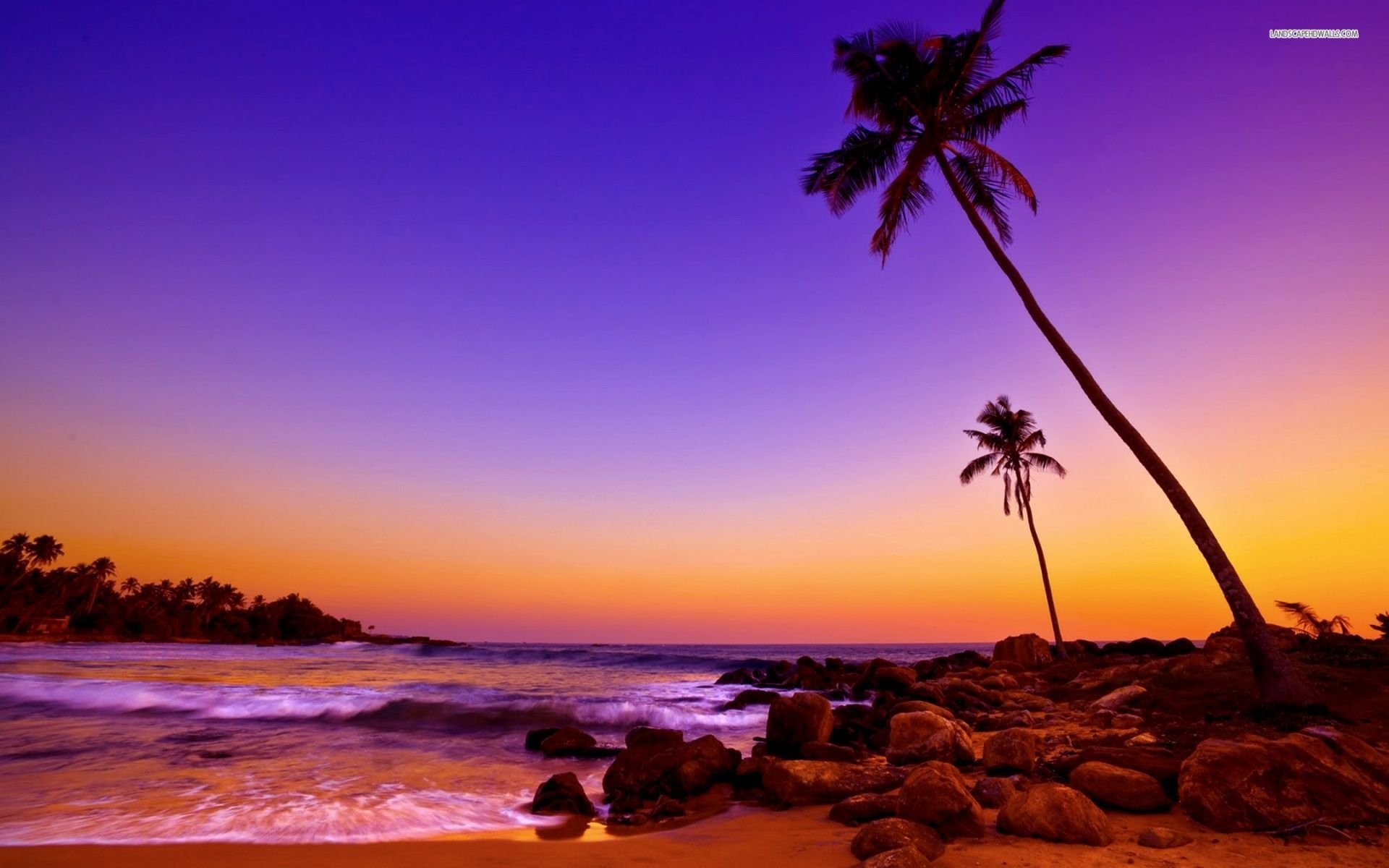 Sunset Purple Tropical Beach - HD Wallpaper 