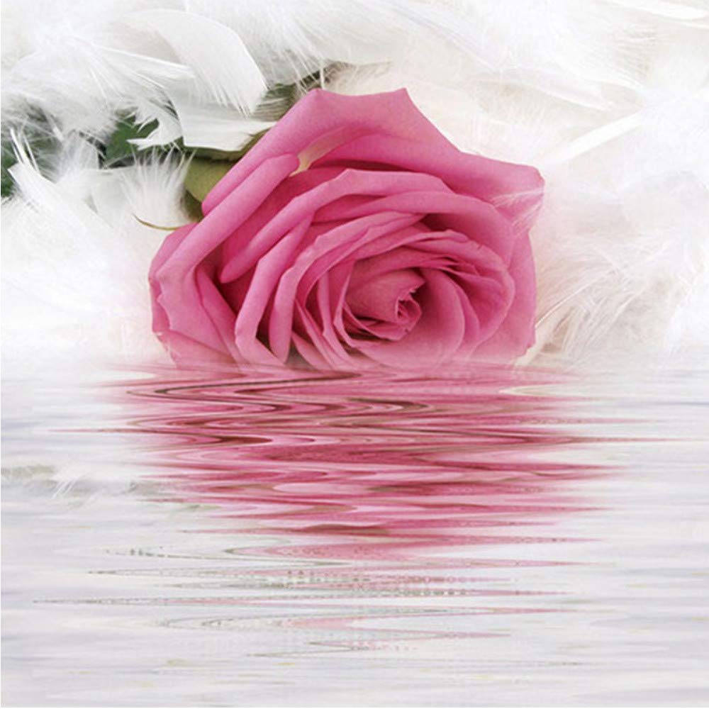 Romantic Wallpaper Rose - HD Wallpaper 