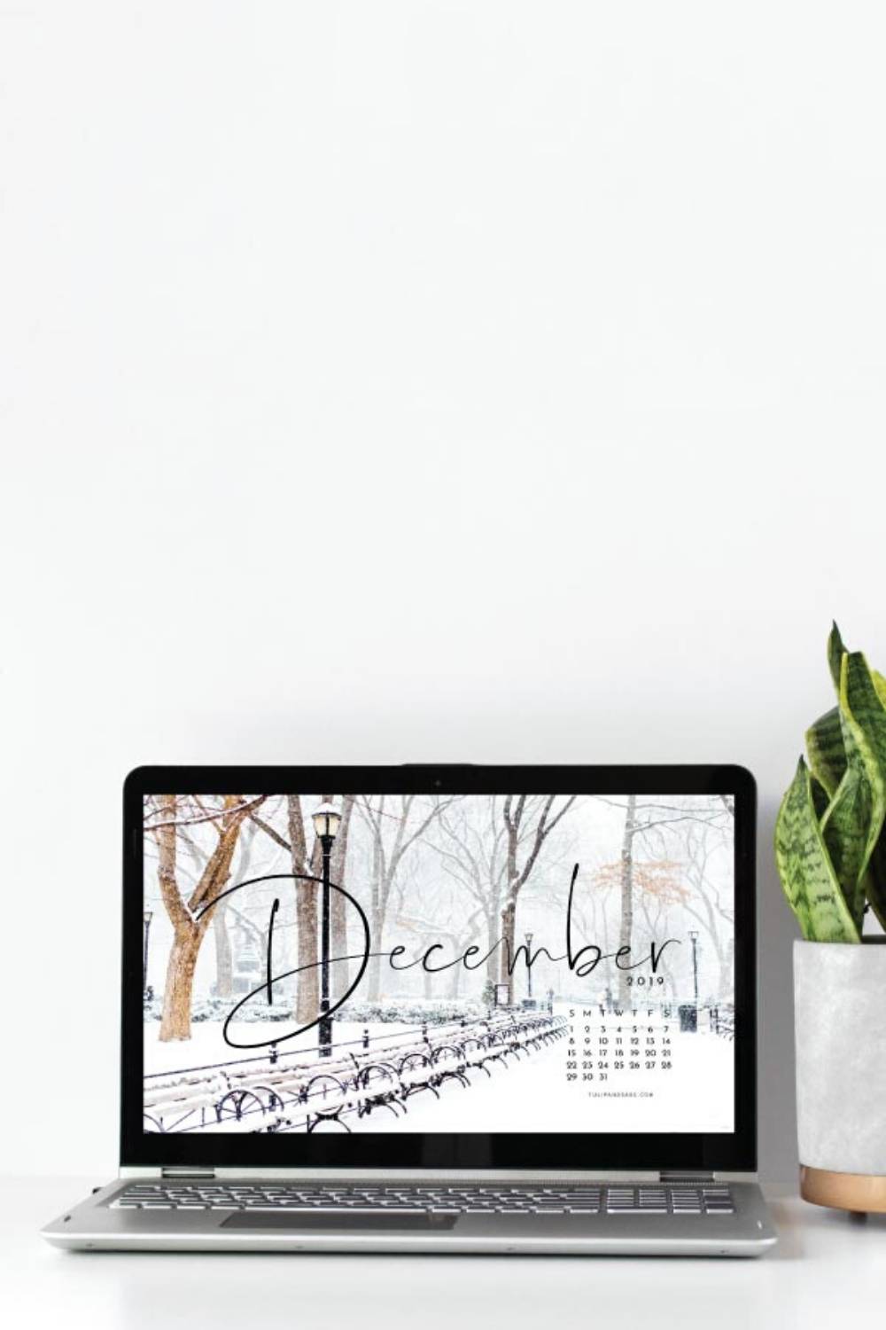 Looking To Refresh Your Screens For Next Month Grab - Wordpress - HD Wallpaper 