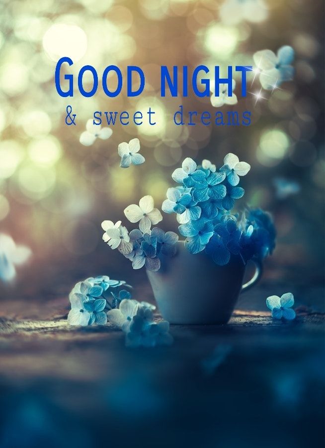 Quote Good Night Greetings - HD Wallpaper 