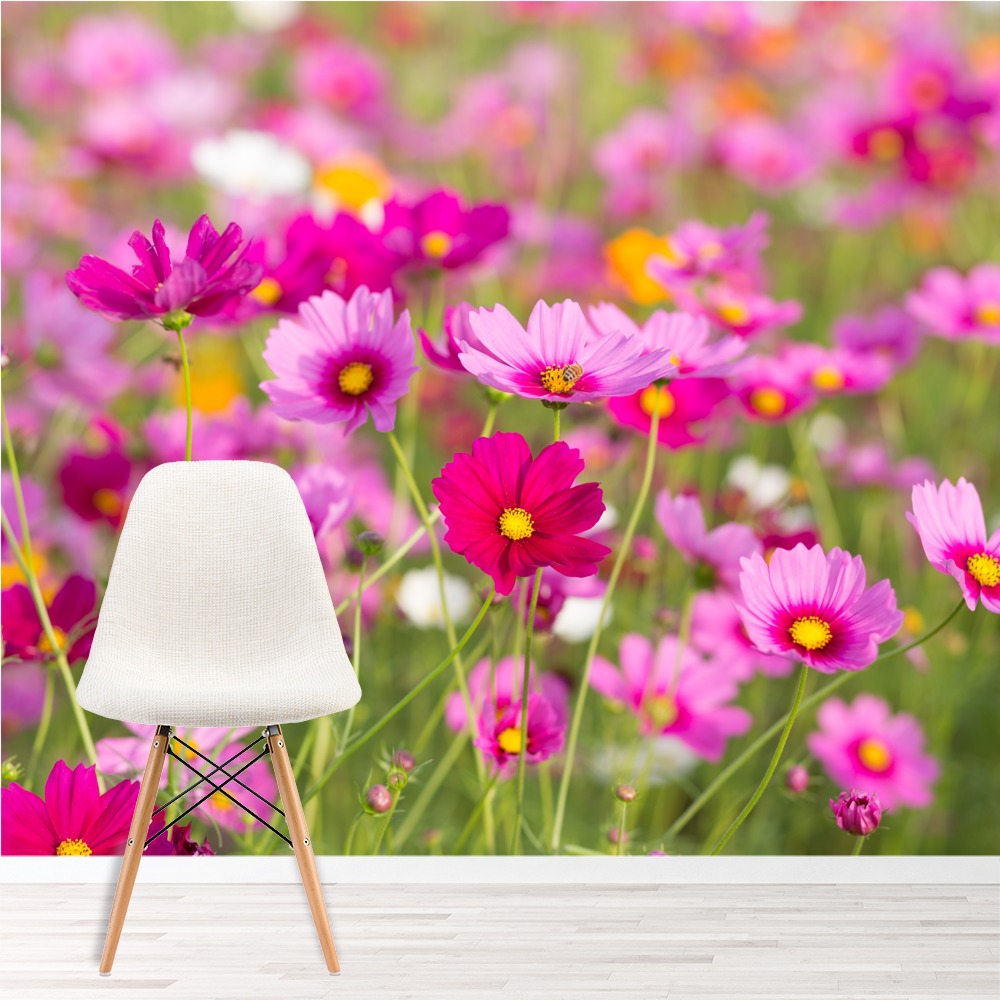 Pink Daisies - HD Wallpaper 