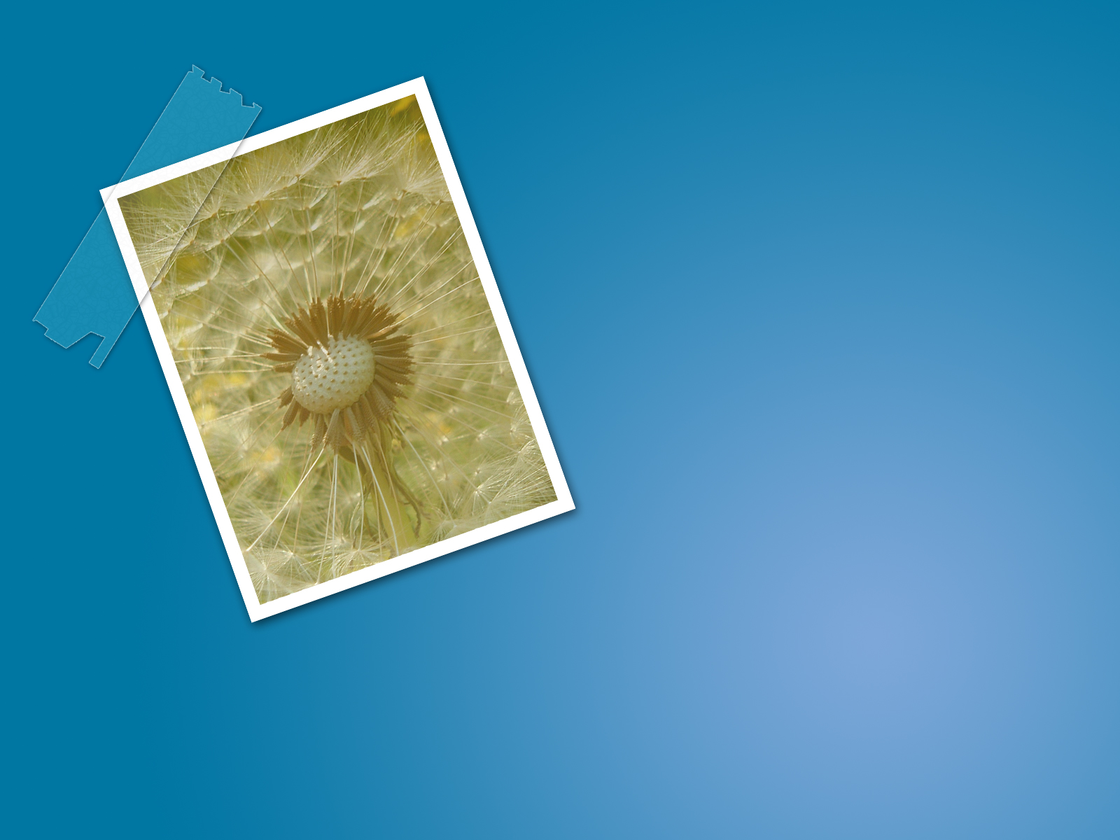 تولد دکتر احمدی نژاد - HD Wallpaper 