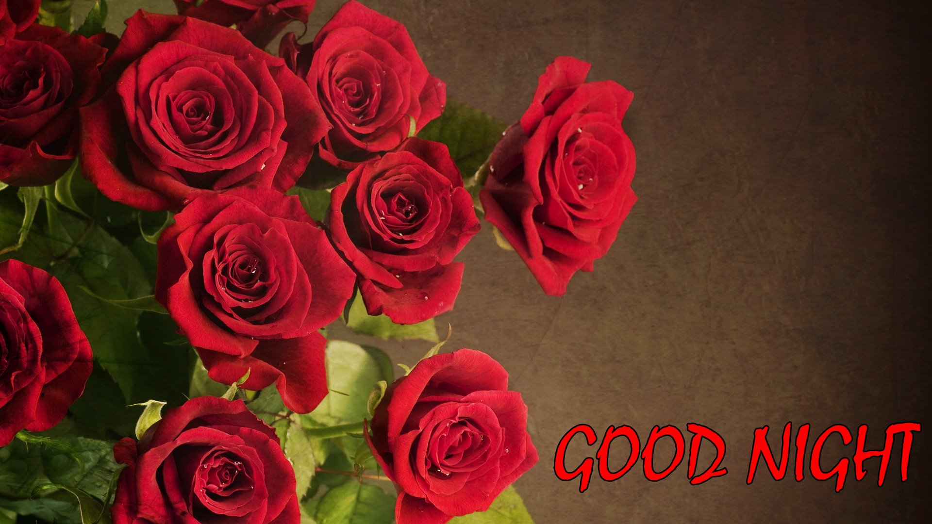 Good Night Rose Flower Hd - 1920x1080 Wallpaper Good Night Rose Flower Hd - 1920x1080 Wallpaper