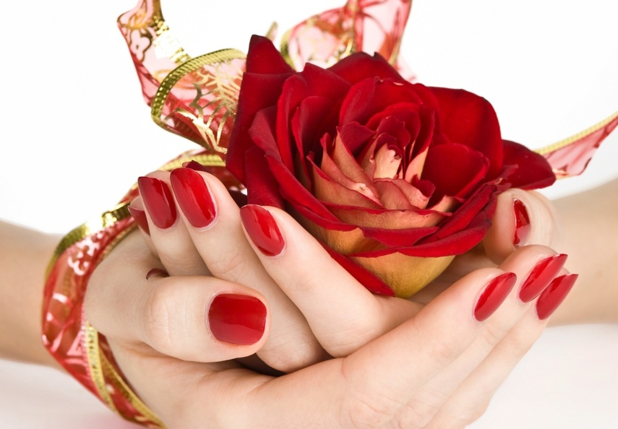 Lovely Flower Wallpaper Hd Photos Red Roses Of Iphone - Assalam O Alaikum Good Morning Happy Sunday - HD Wallpaper 