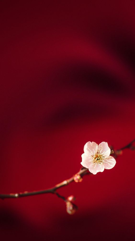 Lock Screen Oppo F7 - 564x1002 Wallpaper Lock Screen Oppo F7 - 564x1002 Wallpaper