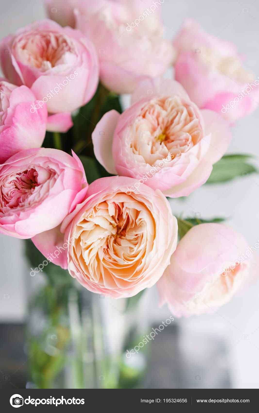 Bouquet Di Sole Rose Inglesi - HD Wallpaper 