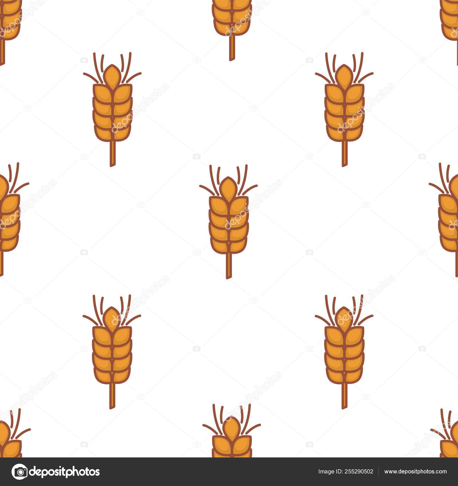 Wheat - 1600x1700 Wallpaper - teahub.io