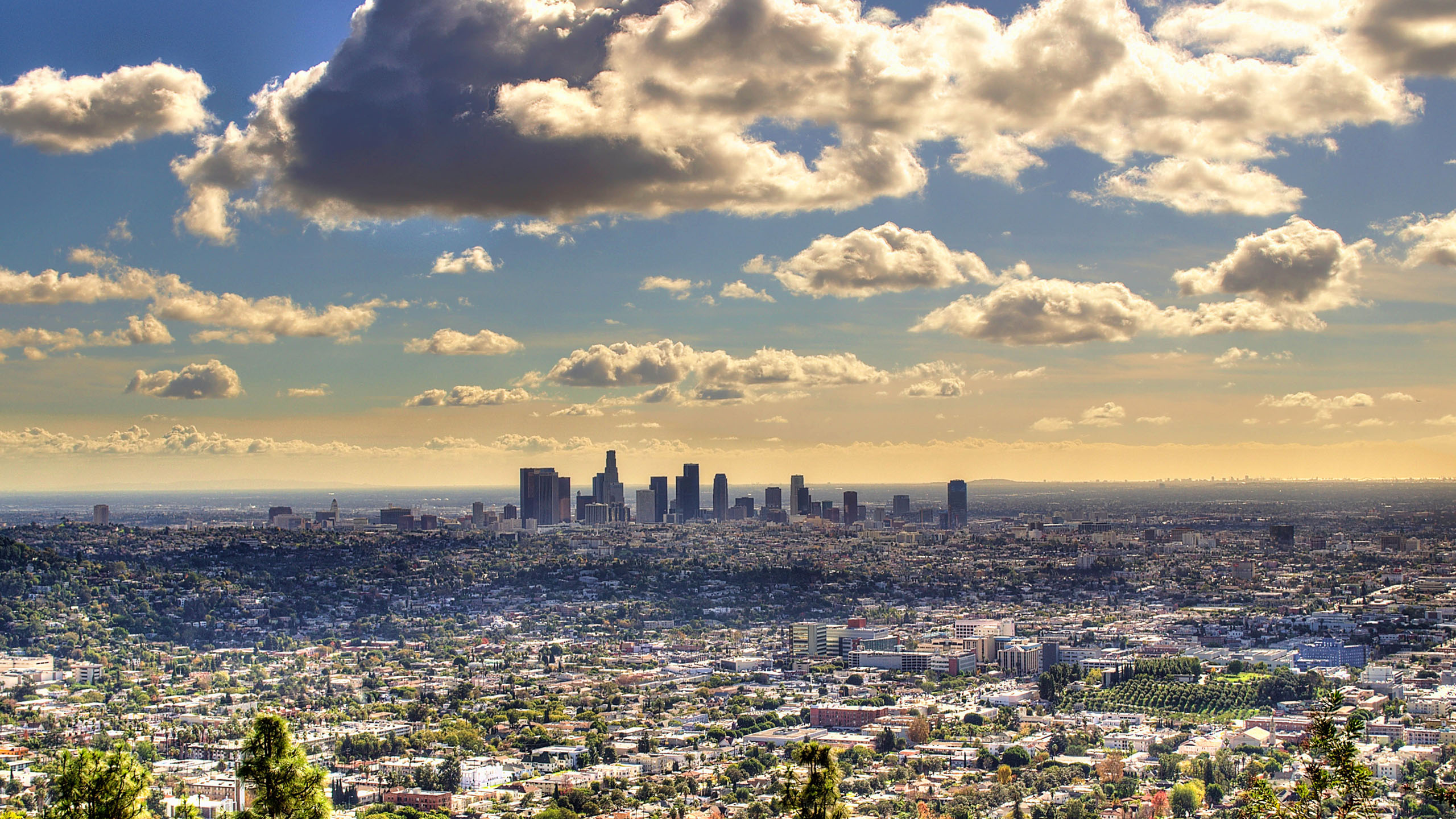 Los Angeles - HD Wallpaper 