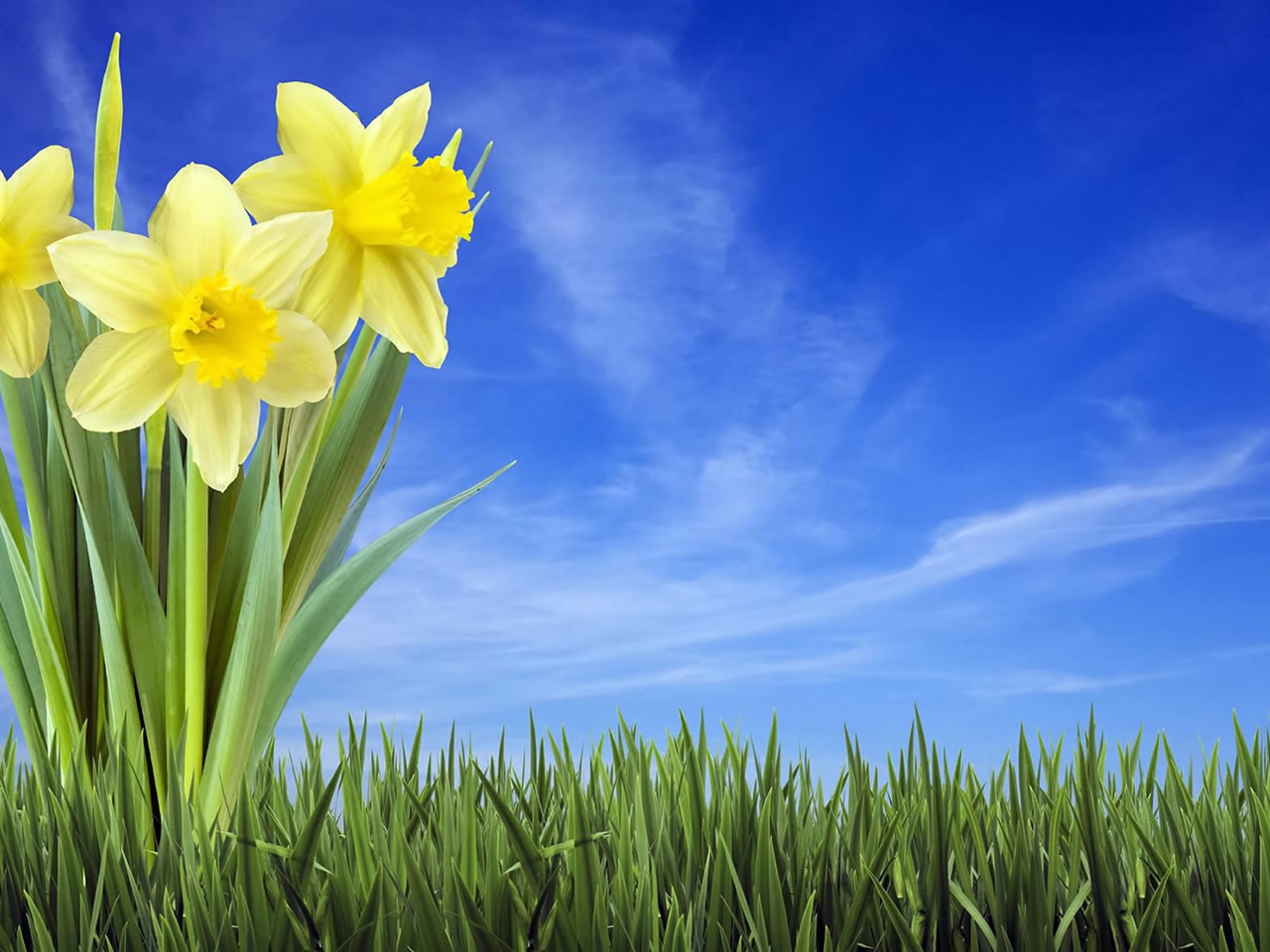 Happy New Month October - HD Wallpaper 