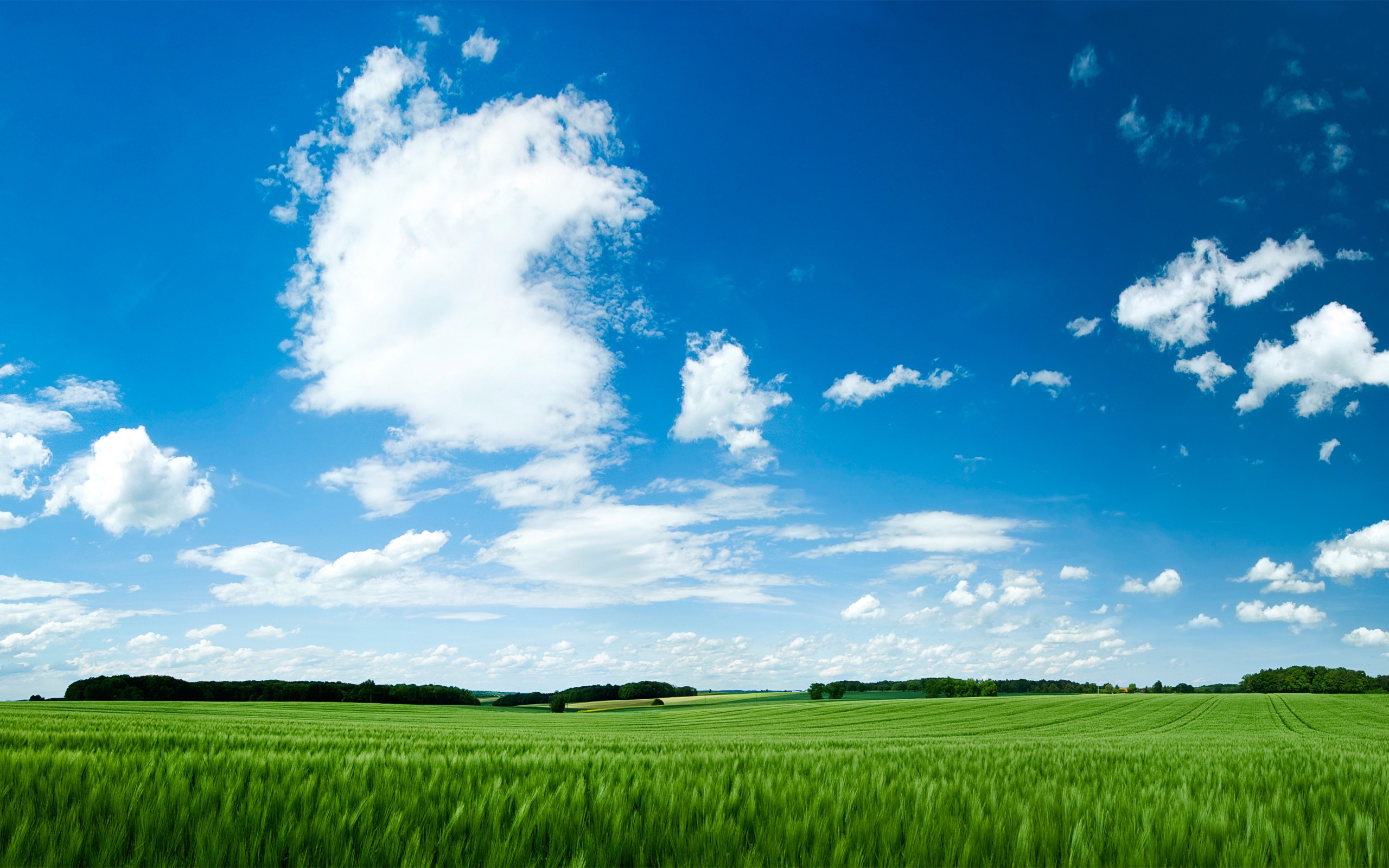 Summer - HD Wallpaper 