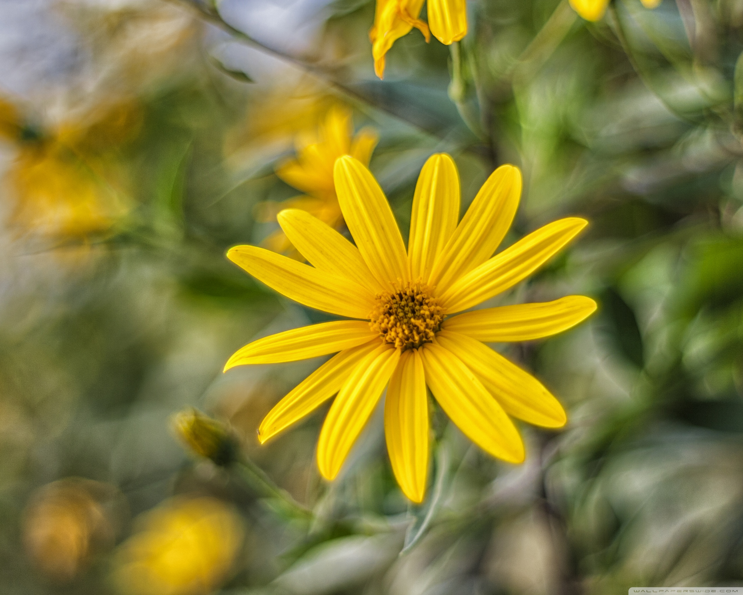 Tablet Computer - HD Wallpaper 