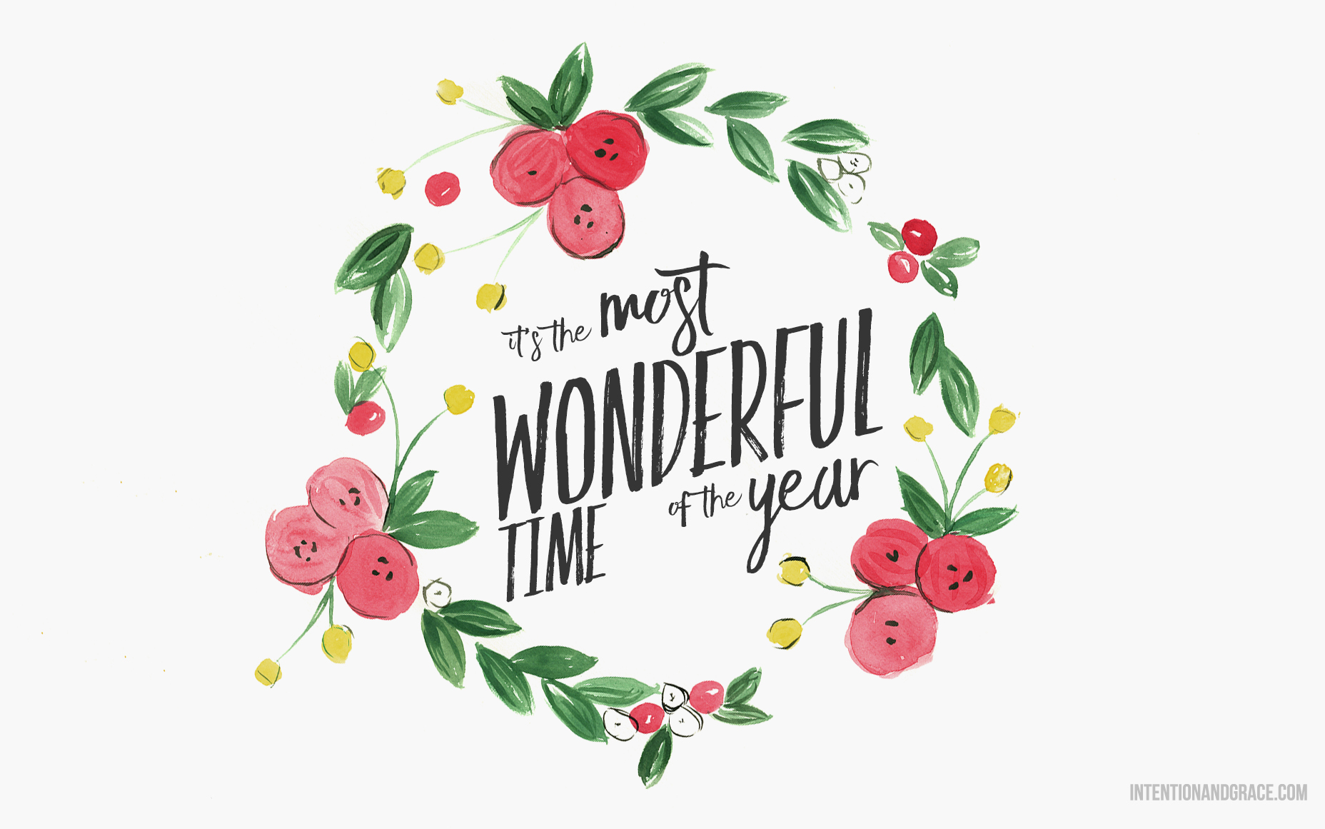 Rose Hip - 1856x1161 Wallpaper - teahub.io