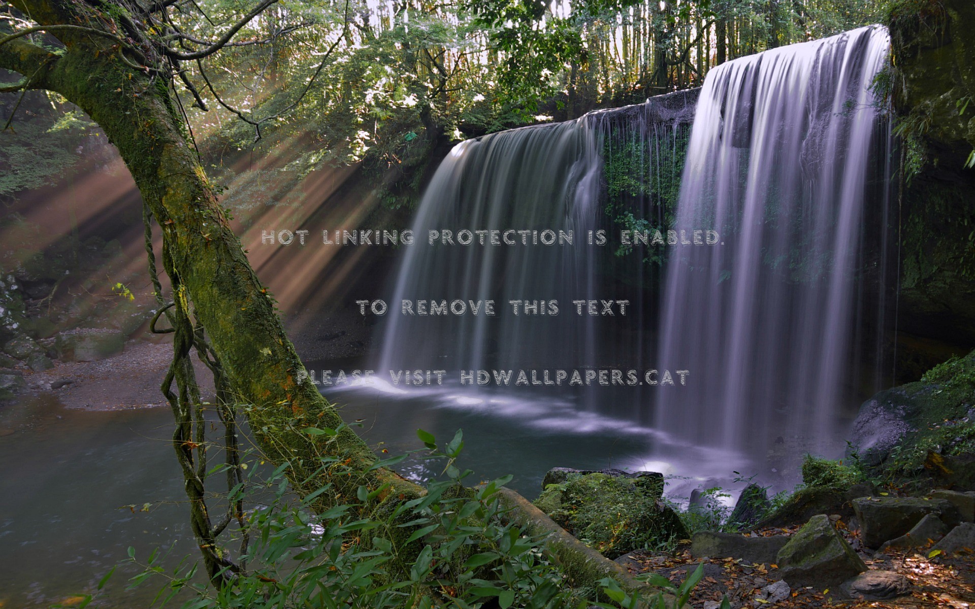 Waterfalls In The Forest Free Wallpaper Top Wallpaper - Waterfall - HD Wallpaper 