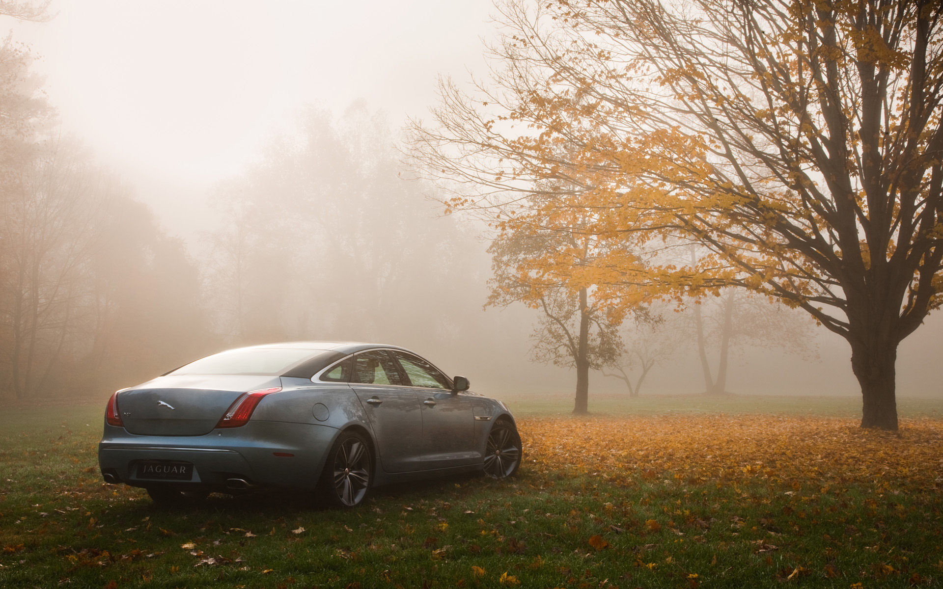 Free Widescreen Wallpaper - HD Wallpaper 