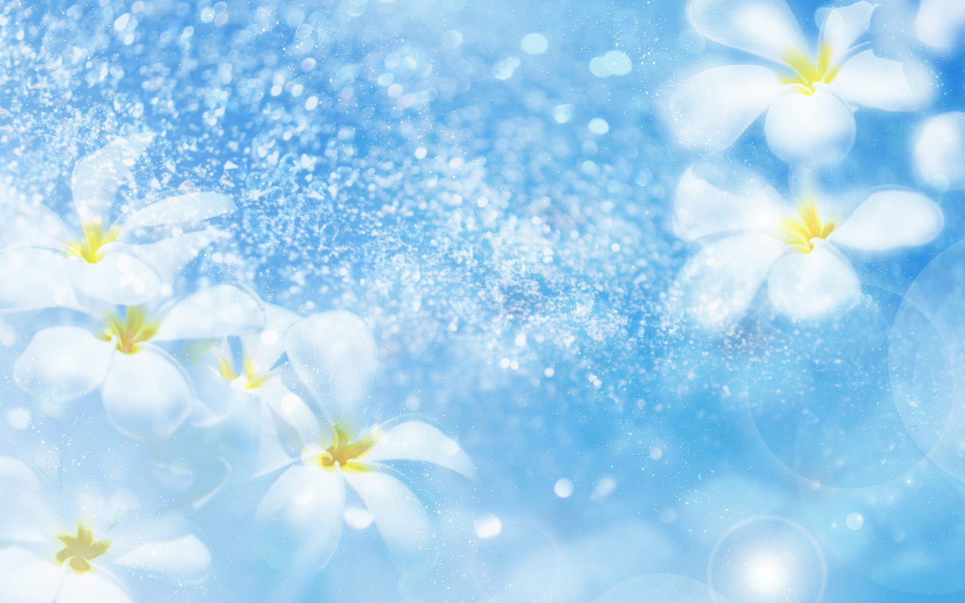 Sky Blue Floral Background - 1920x1200 Wallpaper 