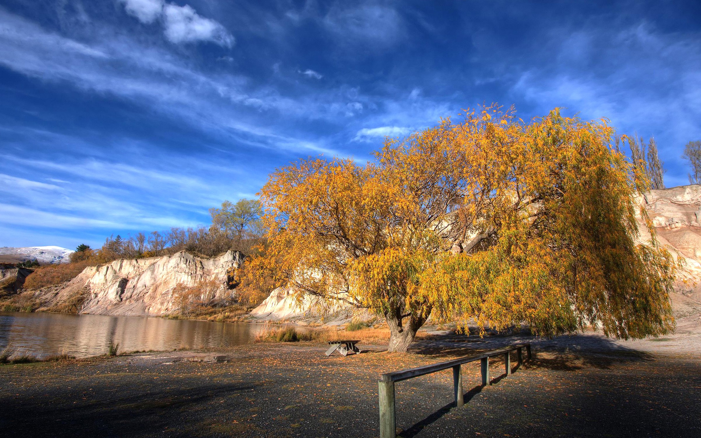 Vacation, Spots, Cool Nature Wallpapers, Organic, Widescreen - Canoe Birch - HD Wallpaper 