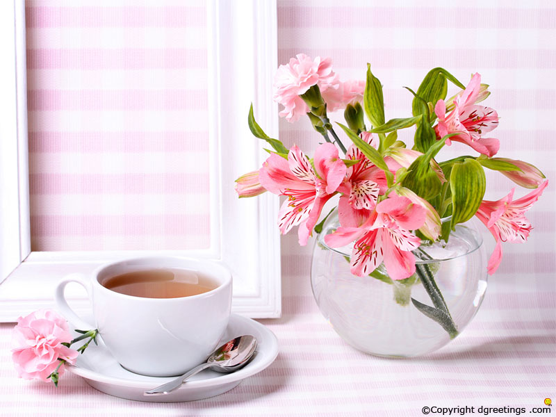 Flower Images Wallpapers Download - HD Wallpaper 